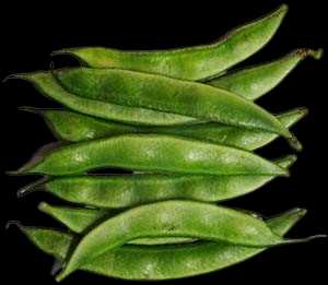 Vegetable Name in english and Hindi